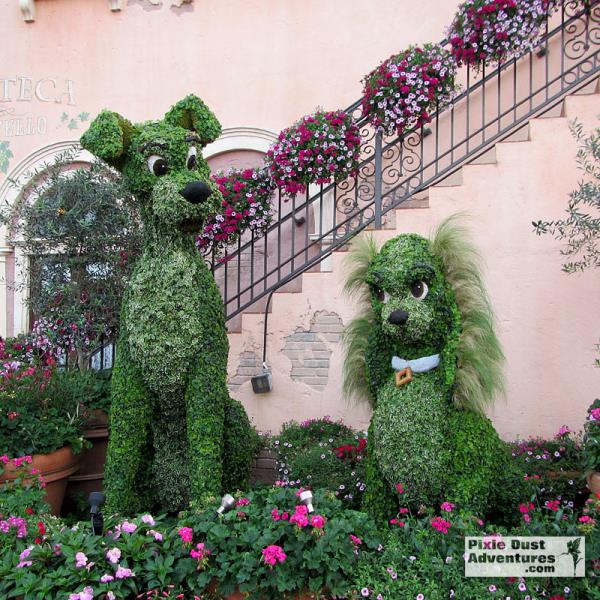 lady-tramp-topiary